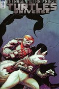 TEENAGE MUTANT NINJA TURTLES UNIVERSE #19B 
