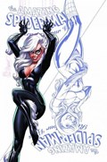 AMAZING SPIDER-MAN: RENEW YOUR VOWS #13-UNKN-C 