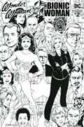 WONDER WOMAN '77 MEETS THE BIONIC WOMAN #2-RI-C 
