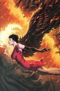 VAMPIRELLA #5-RI-D 