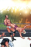 WWE #2C 