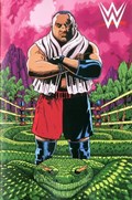 WWE #19-RI 