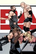 WWE #22C 