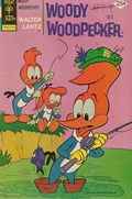 WOODY WOODPECKER #145 