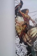 SENSATION COMICS #1-FANX-B 