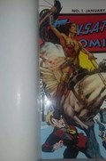 SENSATION COMICS #1-FANX 