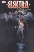 ELEKTRA: ASSASSIN #1C Trade Paperback