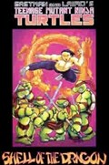 TEENAGE MUTANT NINJA TURTLES #18-2nd 