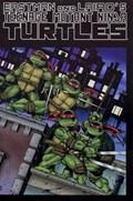 TEENAGE MUTANT NINJA TURTLES #1C 