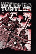 TEENAGE MUTANT NINJA TURTLES #1 