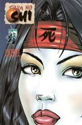 SHI: THE BLOOD OF SAINTS (SHI FAN EDITION) #2C 