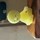 kevinphedges